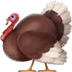 turkey