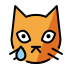 :crying_cat: