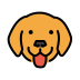 :dog_face:
