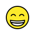 :grin: :grin: