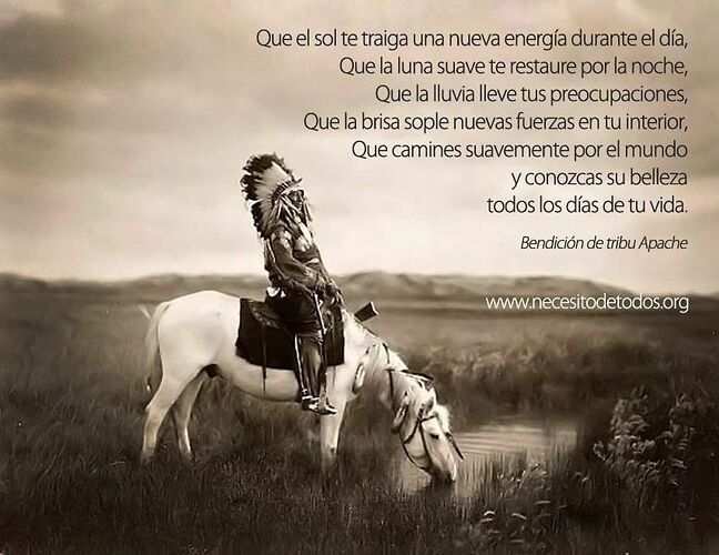 23 Proverbios indios que te servirán en la Vida | American indian artwork,  Native american indians, Native american photos