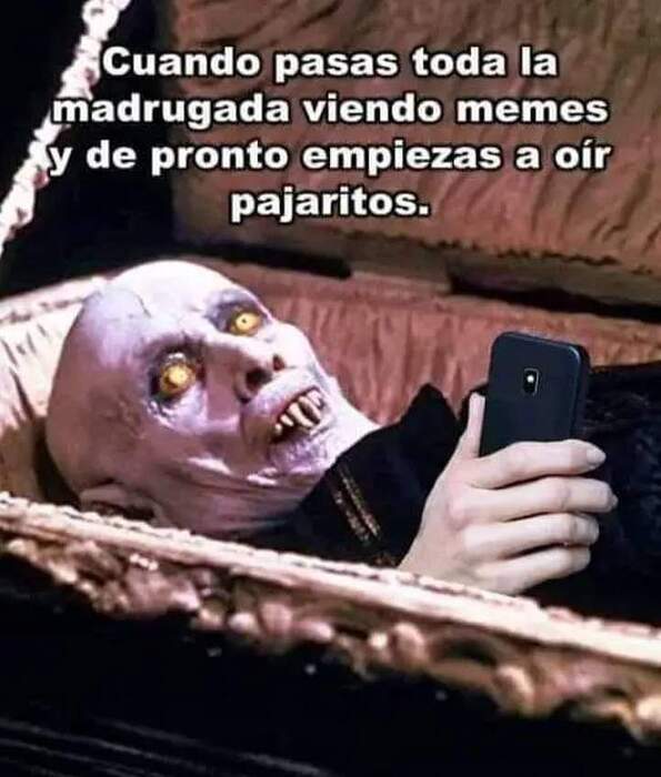 FB_IMG_1717725935696