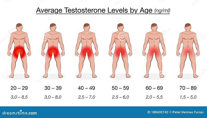 gráfico-de-edad-hombres-nivel-testosterona-tabla-niveles-con-y-valores-medios-decrecientes-en-ngml-nanogramo-por-mililitro-188435742
