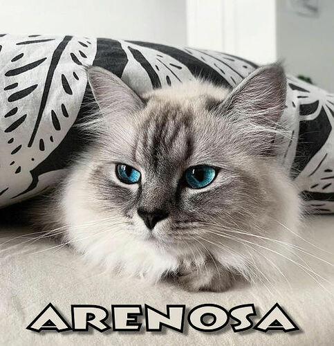 Arenosa4-19
