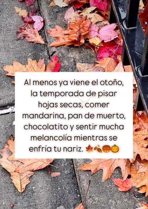 FB_IMG_1727023428262
