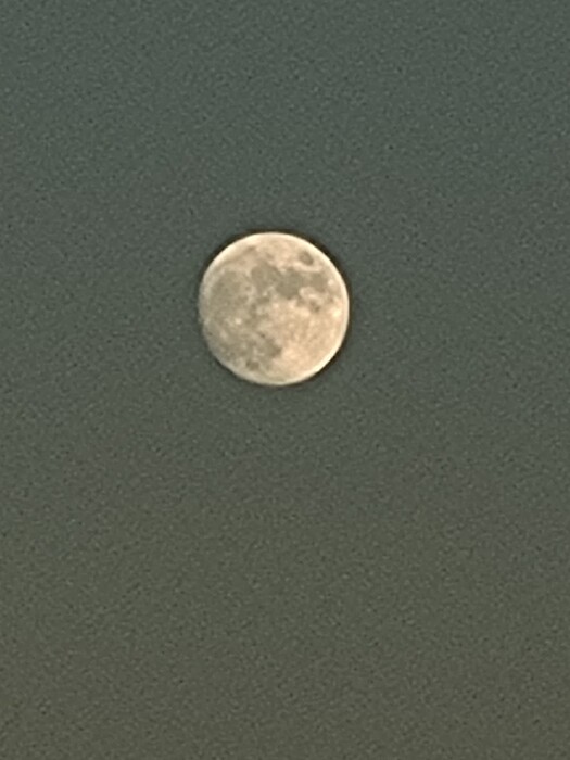 20221106_164015