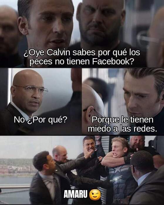 FB_IMG_1720882863589