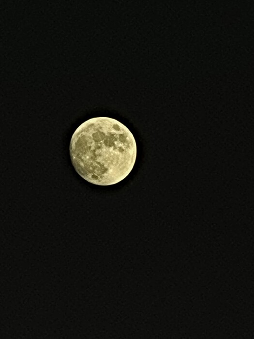 20221106_165338