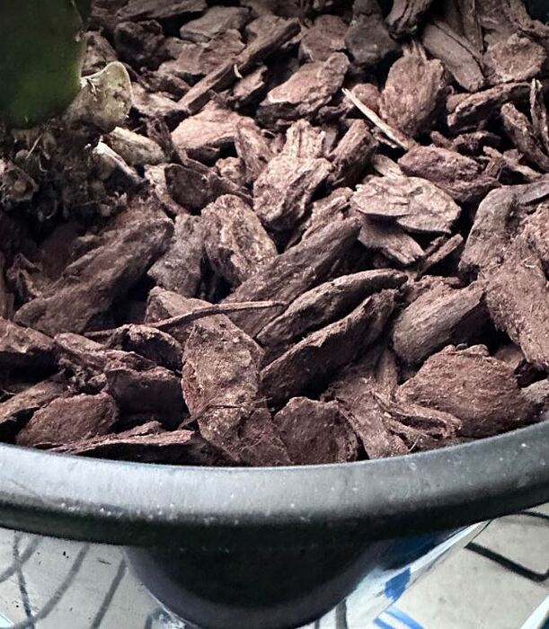 BARK