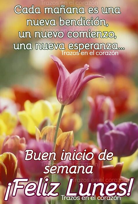 8131d4730f1ec95e3fd585a294d1eeb4
