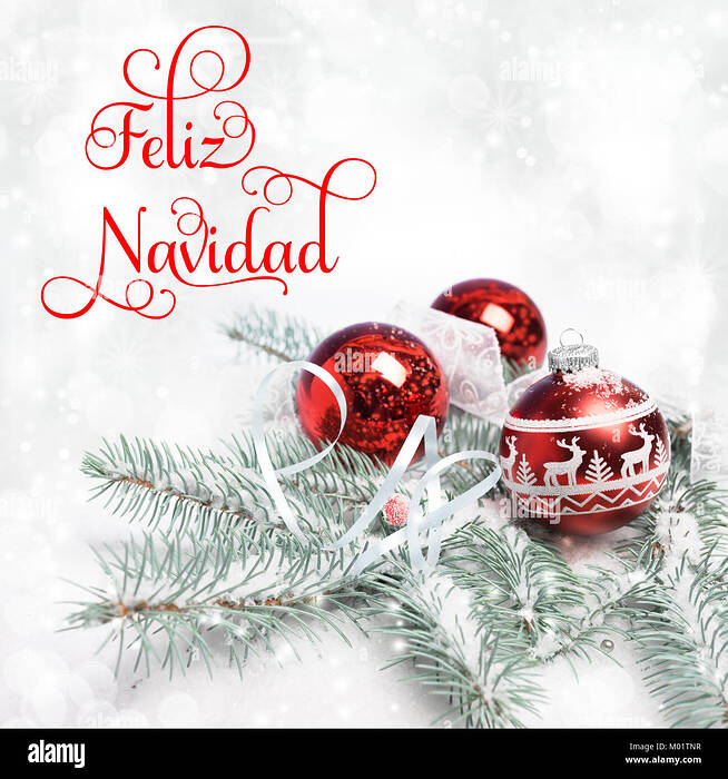 xmas-tree-decorated-branches-on-snow-text-feliz-navidad-or-merry-christmas-M01TNR-1998141741