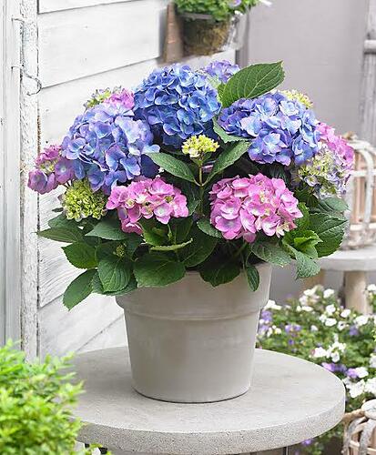 549f71628c529ac45d17485fc0e9154cff81b651