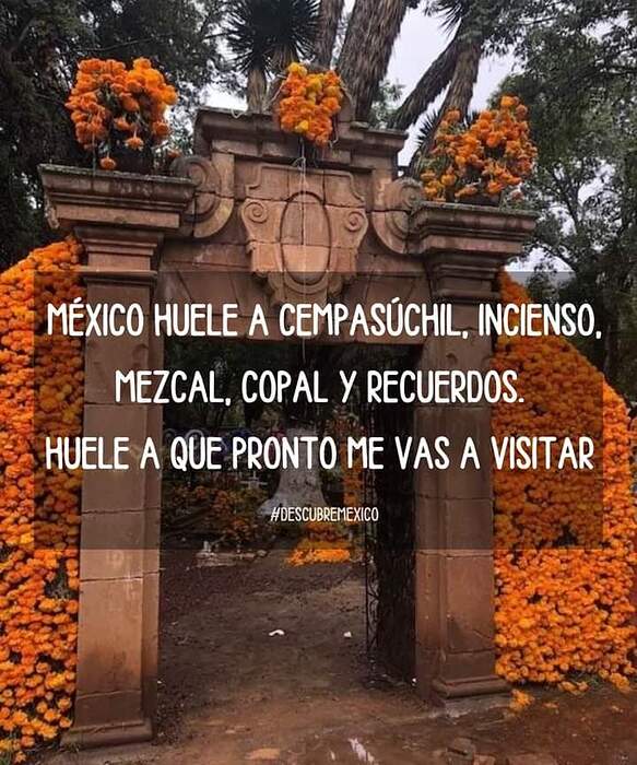 FB_IMG_1697121938072