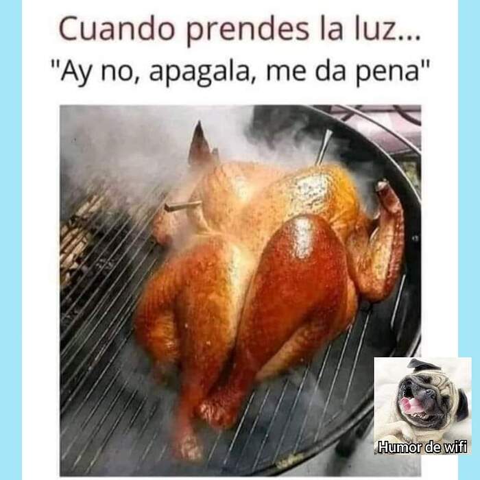 FB_IMG_1717265893539