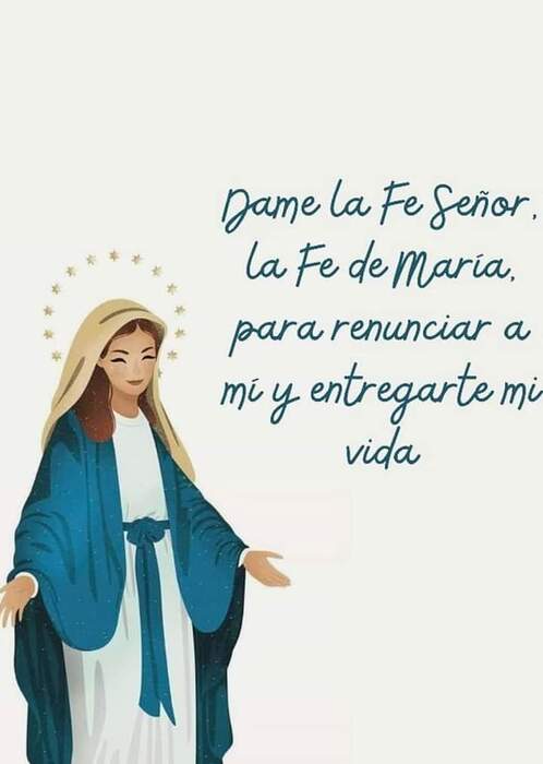 FB_IMG_1692149195511