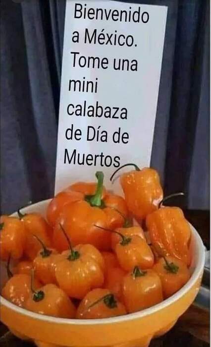 FB_IMG_1728088085840