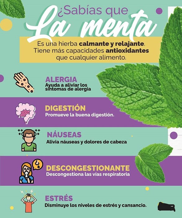 281299027_376923387785609_1740784230797337655_n