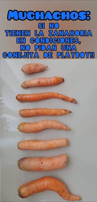 FB_IMG_1663166754775