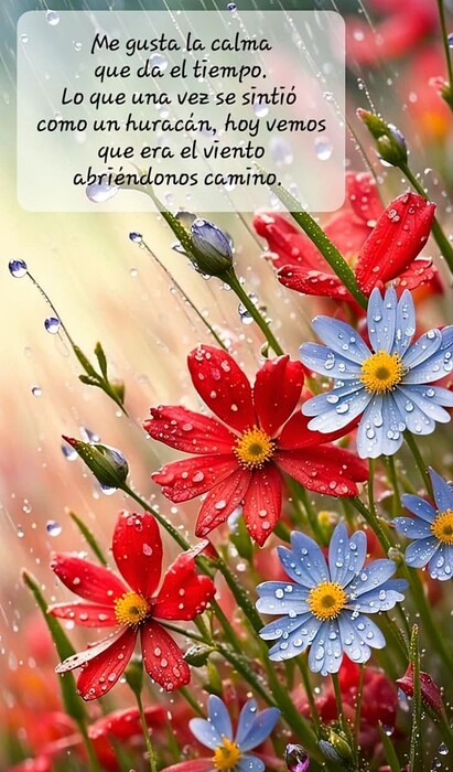 Screenshot_20240803-171127~2