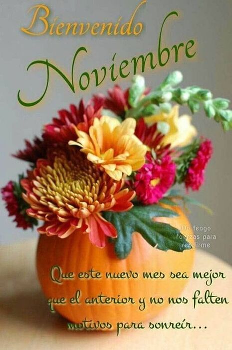 noviembre2