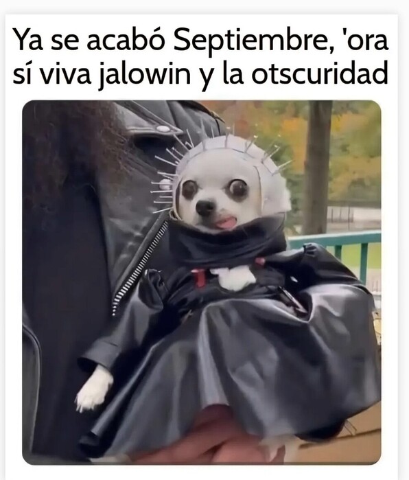 1000015631