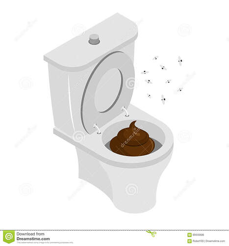 dirty-toilet-shit-toilet-turd-toilet-latrine-stench-flies-69440686