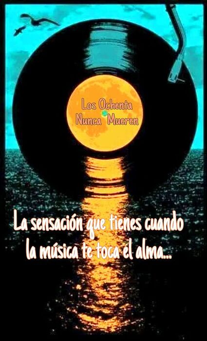 musica800