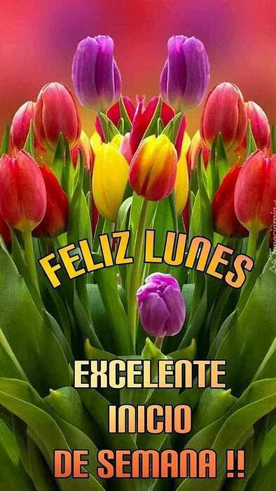 436300843_831329622358217_7530349153979092316_n