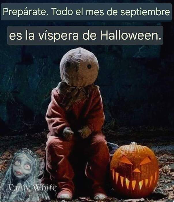 FB_IMG_1725414157949