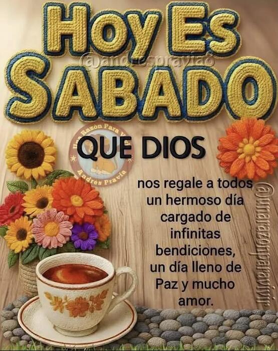 IMG_20251108_093443_818