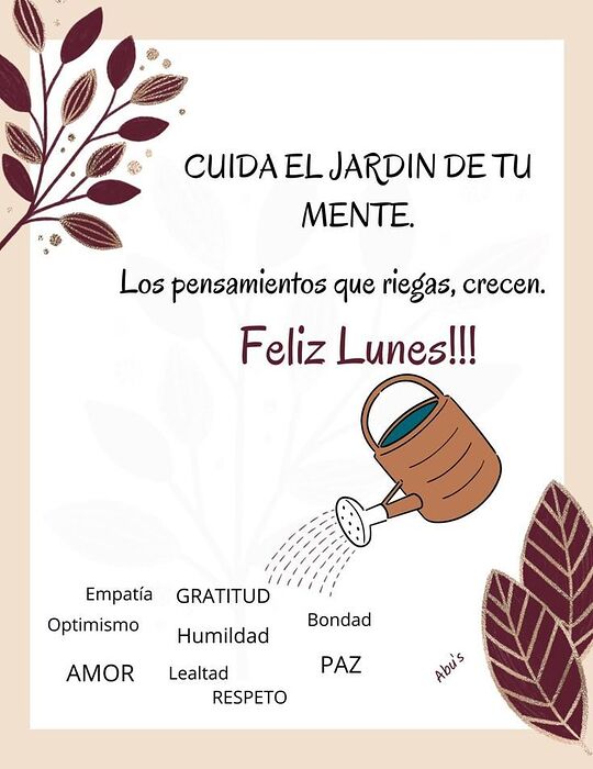 532063650_122172633116546175_6503437451596539272_n