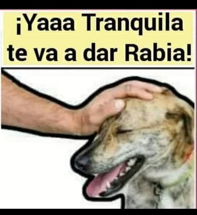 1000009993