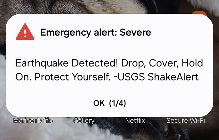 Screenshot_20250414_100957_Wireless Emergency Alerts