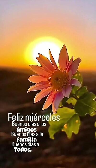 IMG_20260114_100415_112