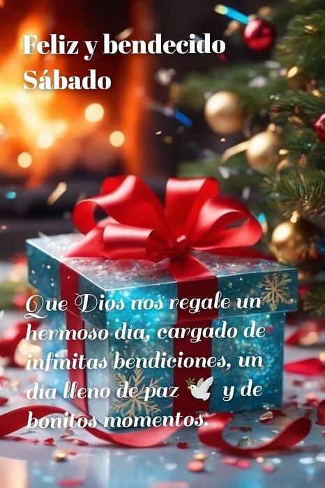 IMG_20251213_081648_014