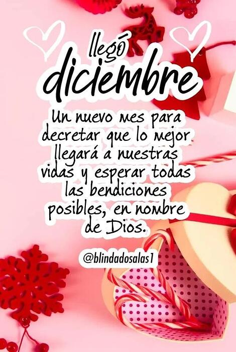 IMG_20251201_104233_256