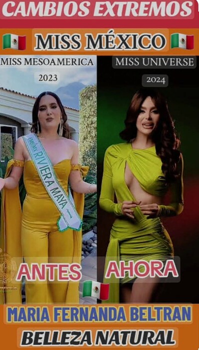 FB_IMG_1735331076424