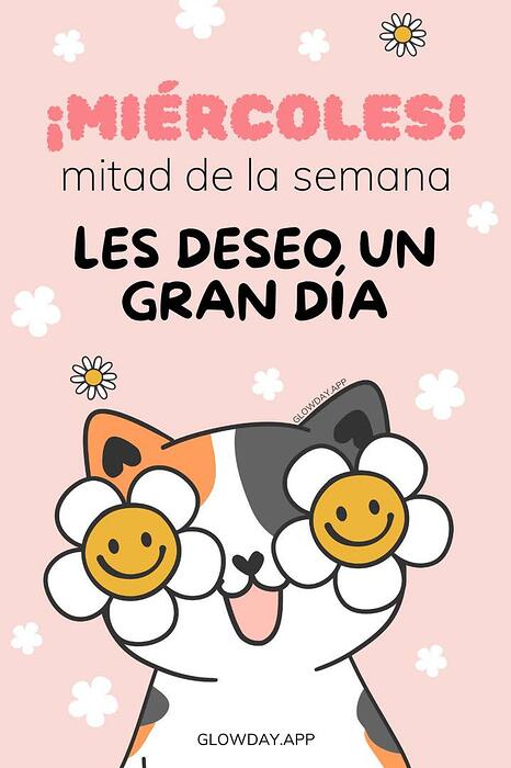 IMG_20250625_161449_805