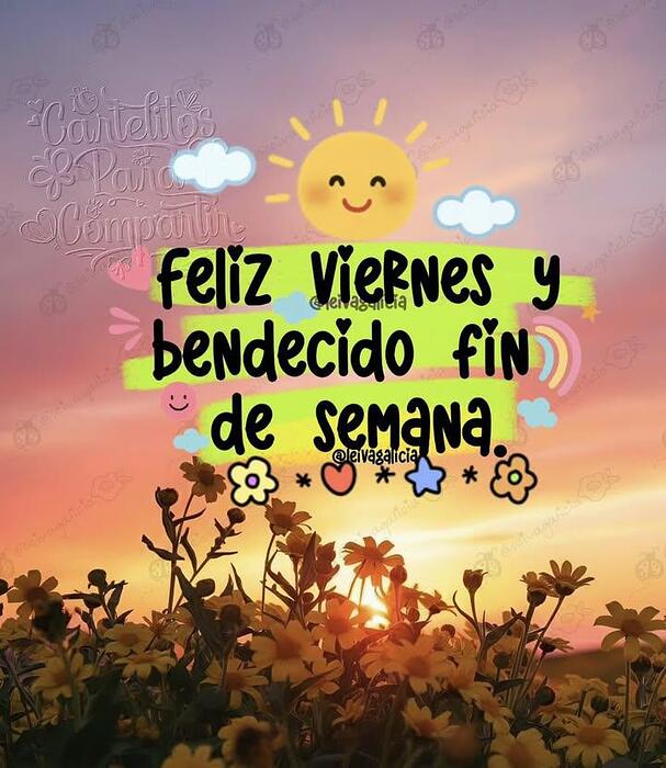 IMG_20251107_142152_617