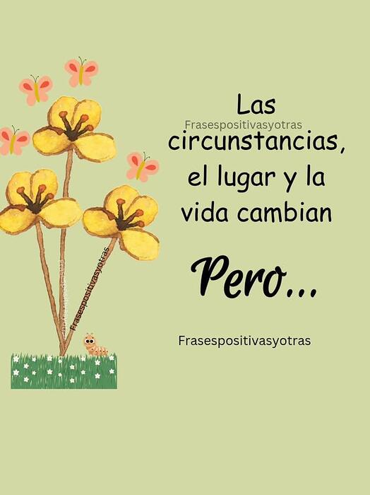 IMG_20251112_091824_576