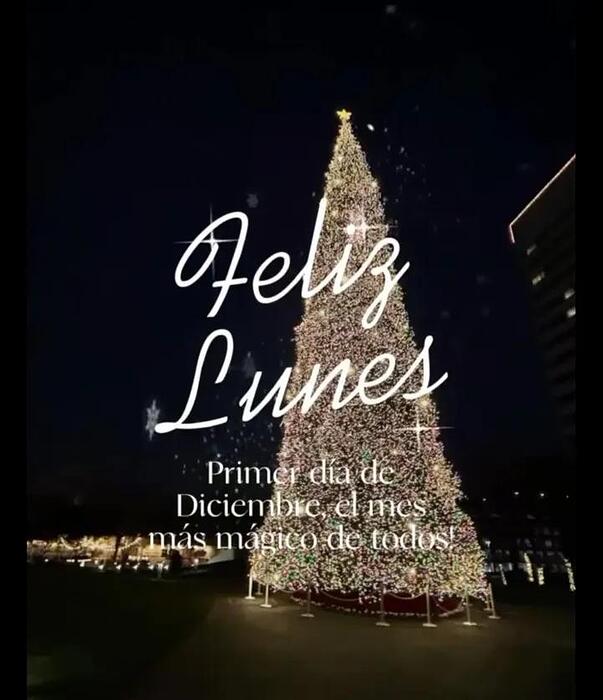 IMG_20251201_062227_901