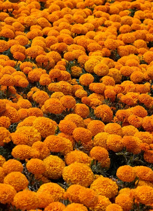 Screenshot_20251102-233455_Chrome