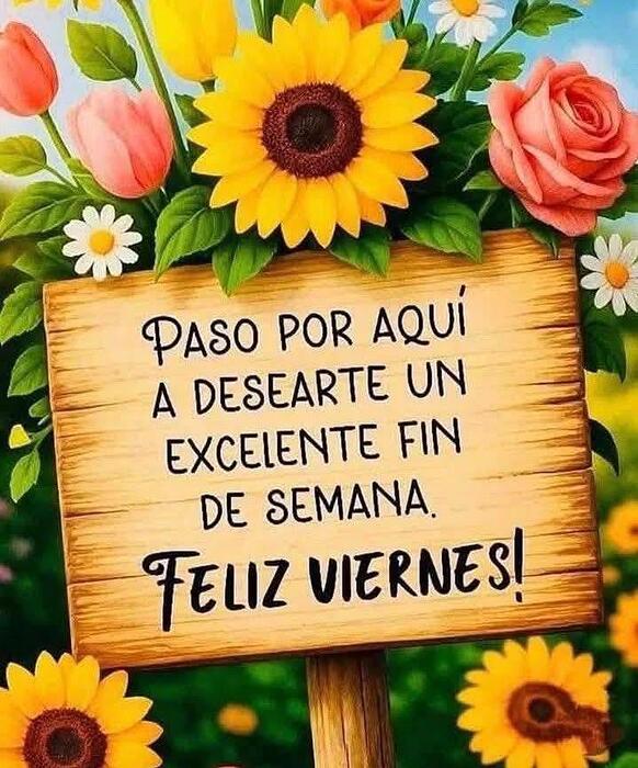 IMG_20251031_073536_860