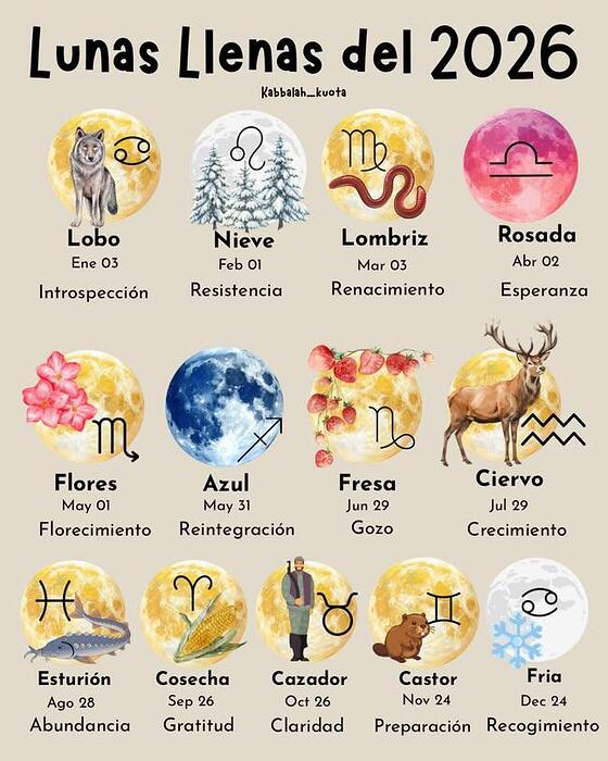 IMG_20260102_112650_222