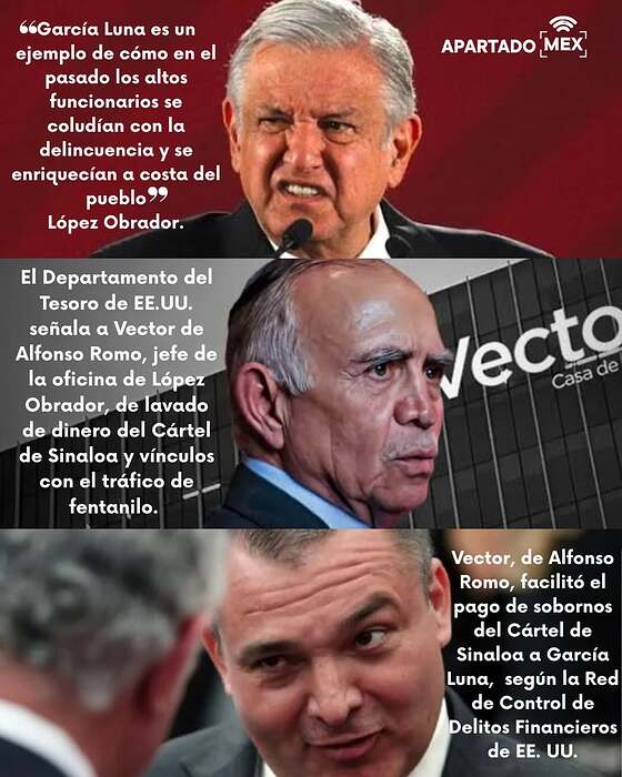 Más información sobre Alfonso Romo, Genaro García Luna y Vector, en historias.