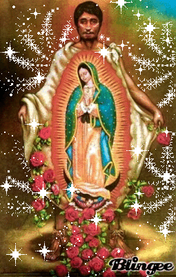 virgen de guadaupe | Virgen de guadalupe fotos, Dibujos de jesús, Videos de  la virgen