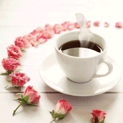 gif-taza-cafe
