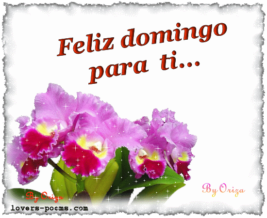 Best Feliz Domingo GIFs | Gfycat