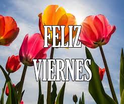 Feliz Viernes, Buenos Días! ▷❤️ 【imágenes, gifs, mensajes】