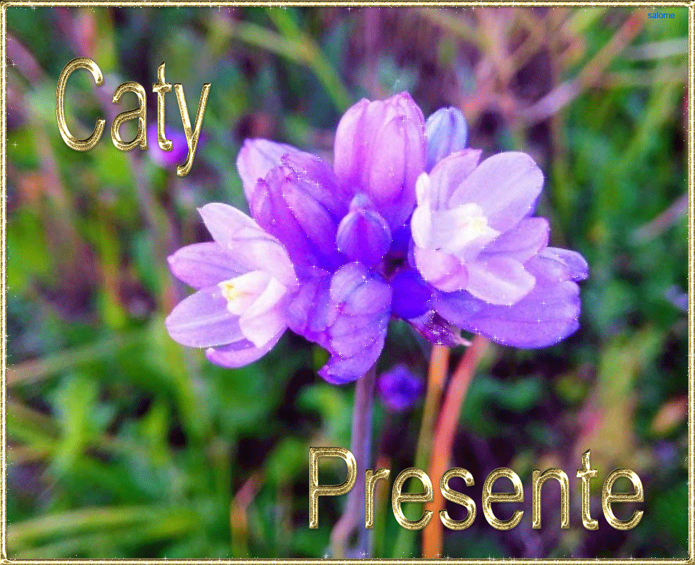 f44a3d83db38154cf5ebd6c896d36b049f08c473